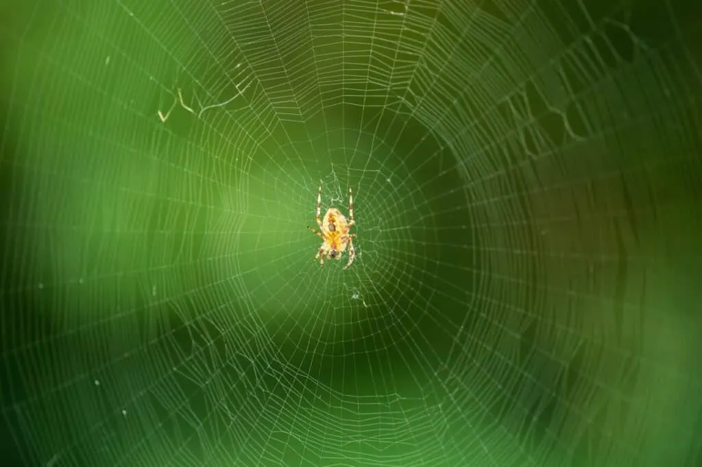 Découvrez l’IA débridée sur le Dark Web : plongez dans l’incroyable univers des hackers !