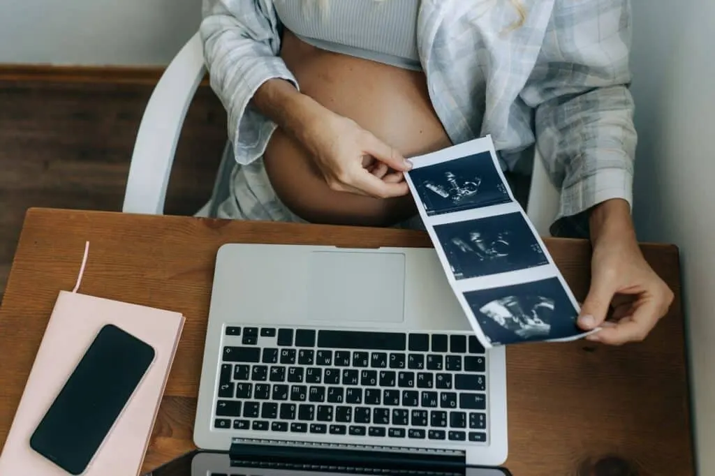Techsmith – Découvrez les dernières actualités sur Waxoo.fr